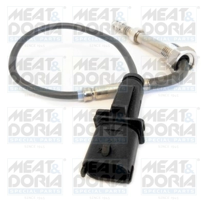 Sensor, exhaust gas temperature